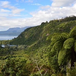 2017-03 New Zealand/Tarawera/DSC_0475.JPG